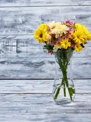 Claudia Vase
