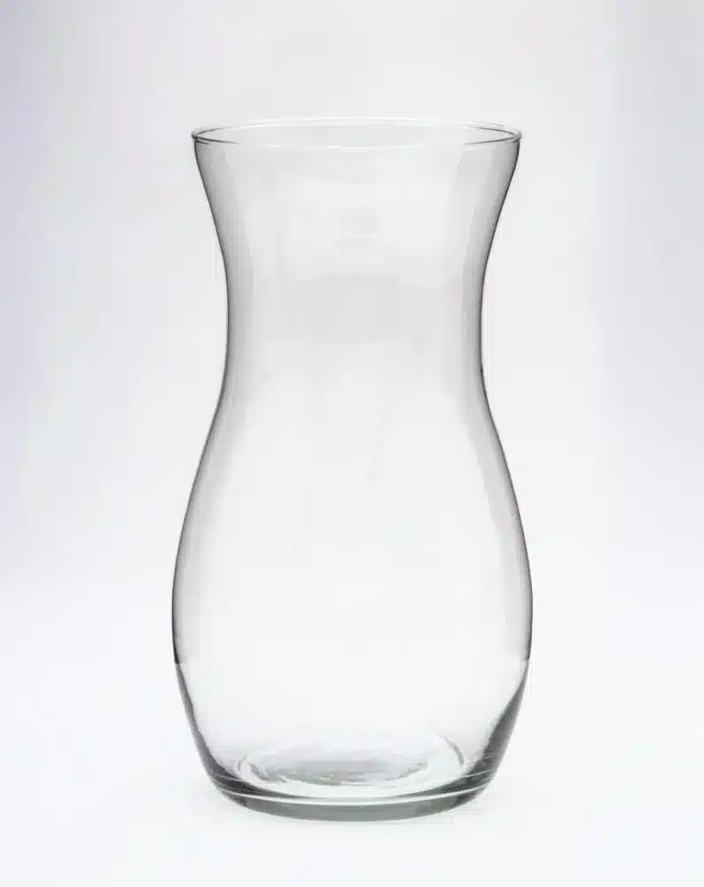 Claudia Vase