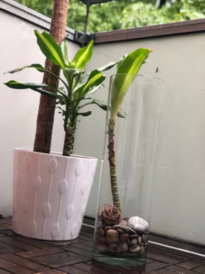 Cylinder Vase ø15